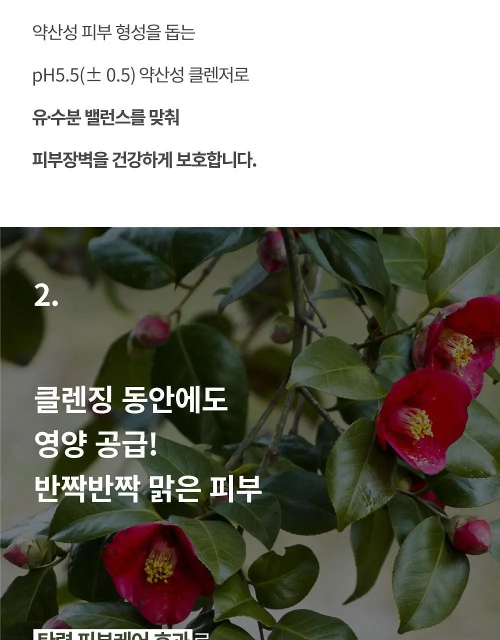 [온가족클렌저/화해1위] 에스네이처 블랑쉬 클렌저 260ml 상세페이지 14